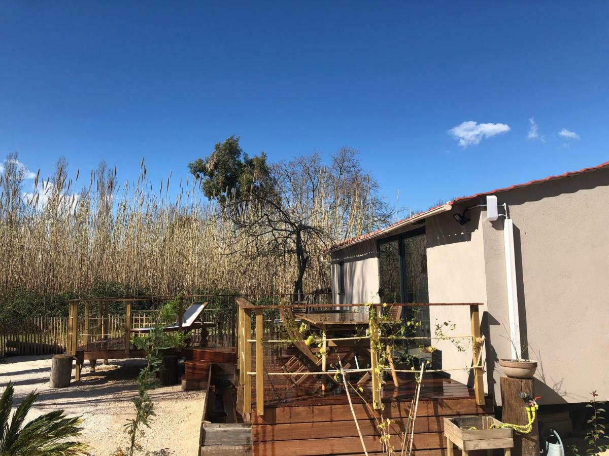 Tiny House Sur La Cote D'Azur Villa Hyères Exterior foto